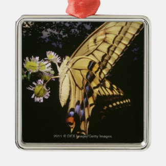 Swallowtail fjäril på blomma, tätt upp julgransprydnad metall