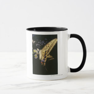 Swallowtail fjäril på blomma, tätt upp mugg