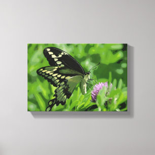 Swallowtail fjäril sträckt kanvastryck