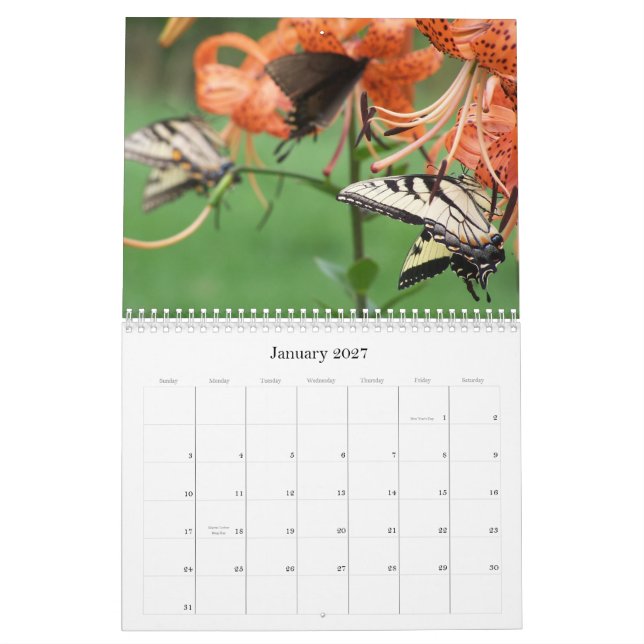 Swallowtail fjärilar, kalender 2009 (Jan 2027)