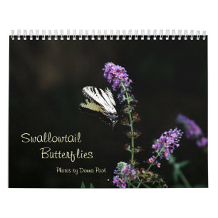 Swallowtail fjärilskalender kalender