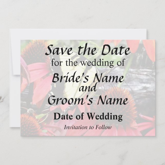 Swallowtail on Red Coneflower Spara Datumet (Framsida)