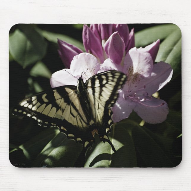 Swallowtail & Rhododendron Mousepad Musmatta (Framsidan)