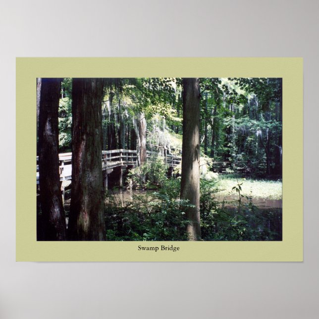 Swamp Bridge Poster (Framsidan)