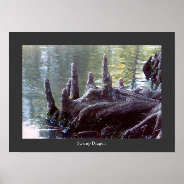 Swamp Dragon Poster (Framsidan)
