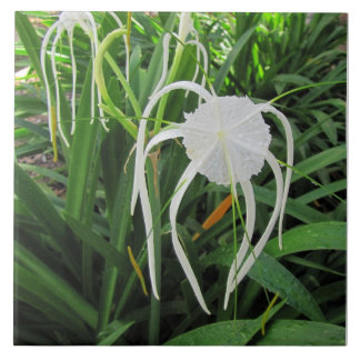 Swamp Lily Ceramic Tile Trivet 6 x 6 x 6 x 6 Kakelplatta