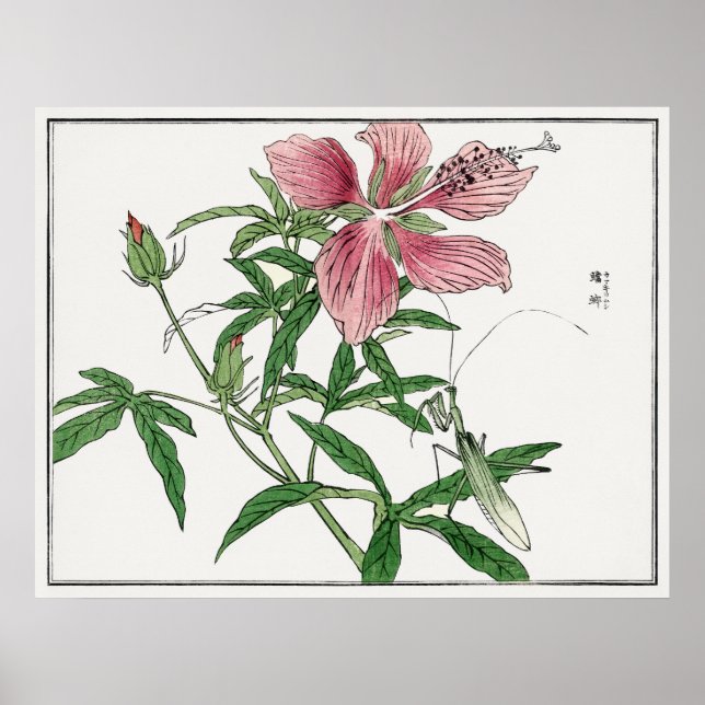 Swamp Mallow with Praying Mantis, Morimoto Toko Poster (Framsidan)