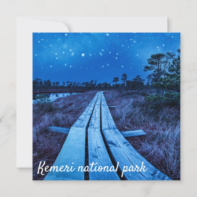 Swamp night (Framsida)