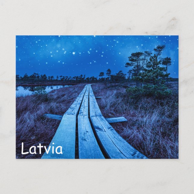 Swamp night vykort (Framsida)