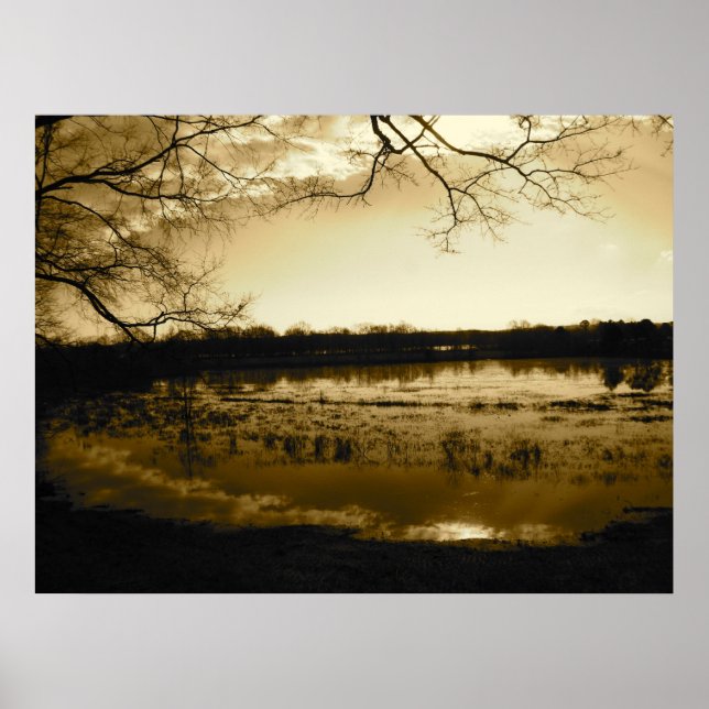 Swamp Photo Poster (Framsidan)