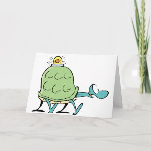 Swamp Turtle får bra kort snart
