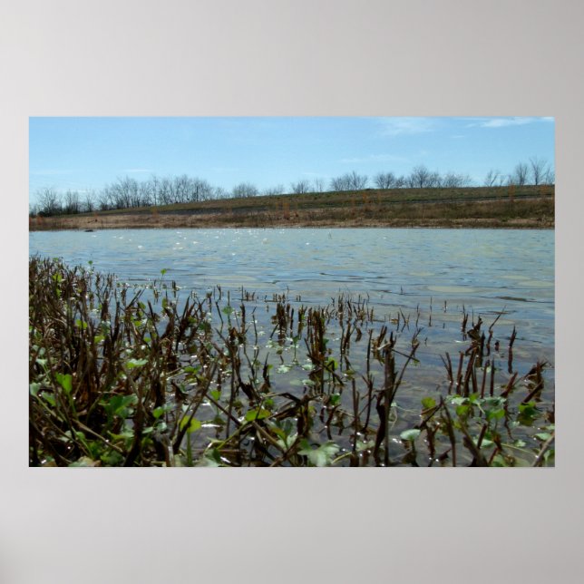 Swampy Scape Poster (Framsidan)