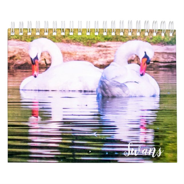 Swan Calendar Kalender (Omslag)