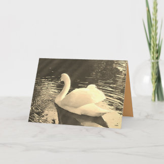 Swan in Sepia  Tack Kort