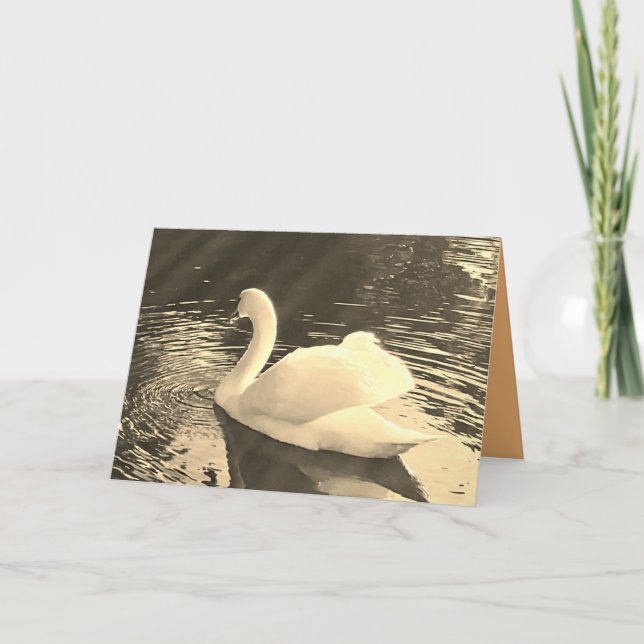 Swan in Sepia  Tack Kort (Framsida)