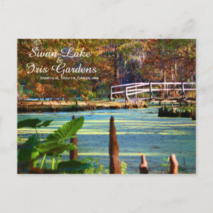 Swan Lake Iris Gardens, Sumter, South Carolina Vykort