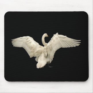 Swanpad Musmatta