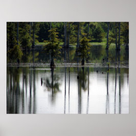 Swappland Poster