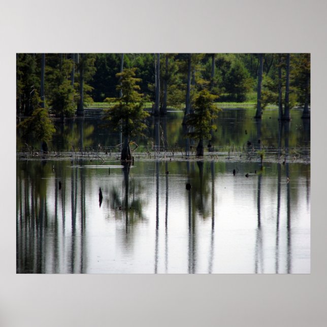 Swappland Poster (Framsidan)