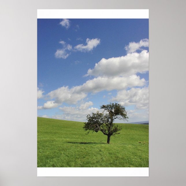 Sway Poster (Framsidan)