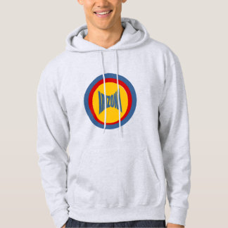 Sweat à capuche cendre  ARIZONA Hoodie