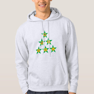 Sweat à capuche cendre  DESIGN  ETOILES  BRAZIL Hoodie