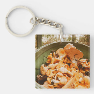 Swedish Archipelago Mushroom Foraging Photo