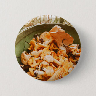 Swedish Archipelago Mushroom Foraging Photo Knapp