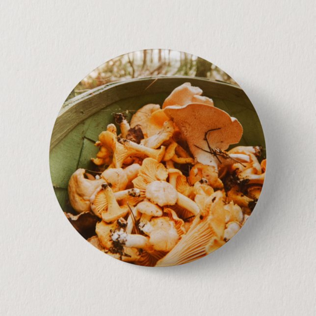 Swedish Archipelago Mushroom Foraging Photo Knapp (Framsida)