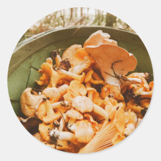 Swedish Archipelago Mushroom Foraging Photo Runt Klistermärke