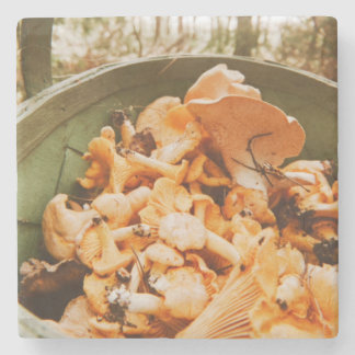 Swedish Archipelago Mushroom Foraging Photo Stenunderlägg