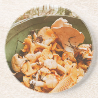Swedish Archipelago Mushroom Foraging Photo Underlägg