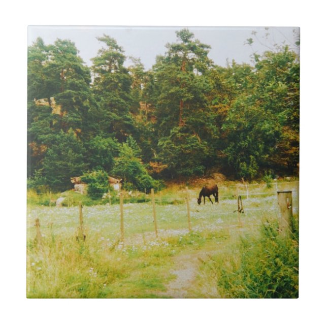 Swedish Countryside Kakelplatta (Framsidan)