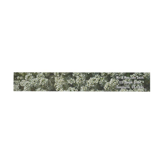 Sweet Alyssum Flowers White Blommigt Etikettband (Individual)