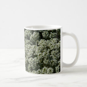 Sweet Alyssum Flowers White Blommigt Kaffemugg