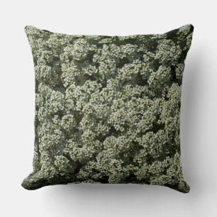 Sweet Alyssum Flowers White Blommigt Kudde