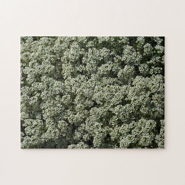 Sweet Alyssum Flowers White Blommigt Pussel (Horisontell)