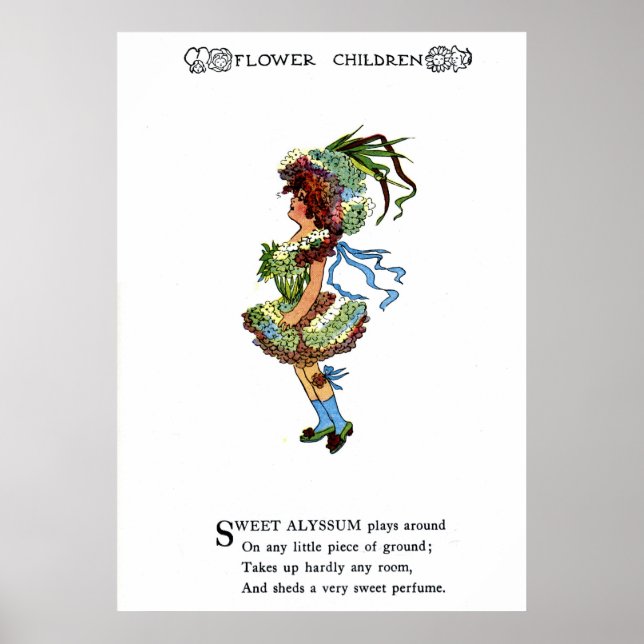 Sweet Alyssum Poster (Framsidan)