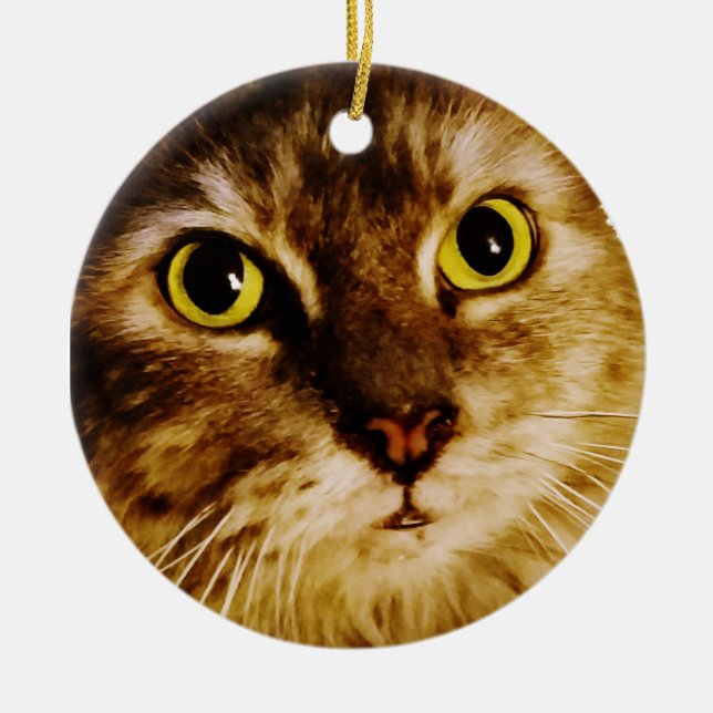 SWEET ANSIKTE KATTUNGE JULGRANSPRYDNAD KERAMIK (Framsidan)