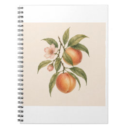 Sweet as a Peach | Vintage Peach Botanical Design Anteckningsbok