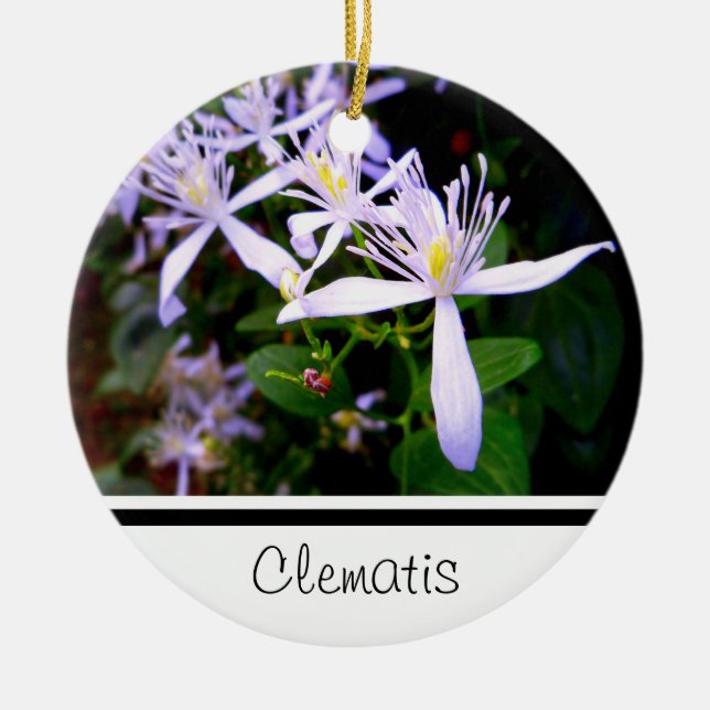 Sweet Autumn Clematis Keepsak Ornament (Framsidan)