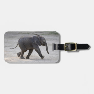 Sweet Baby Elephant Kibali Bagagebricka