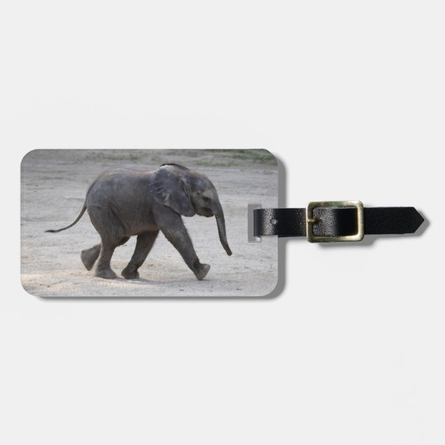 Sweet Baby Elephant Kibali Bagagebricka (Horisontell Framsida)
