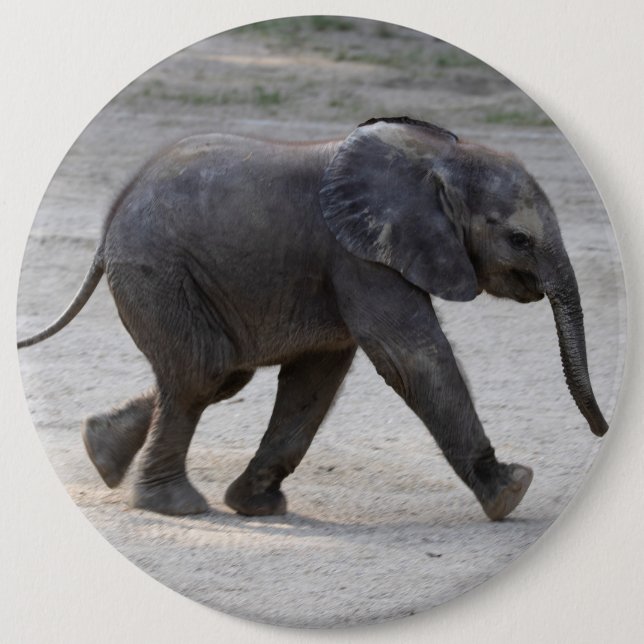Sweet Baby Elephant Kibali Knapp (Framsida)
