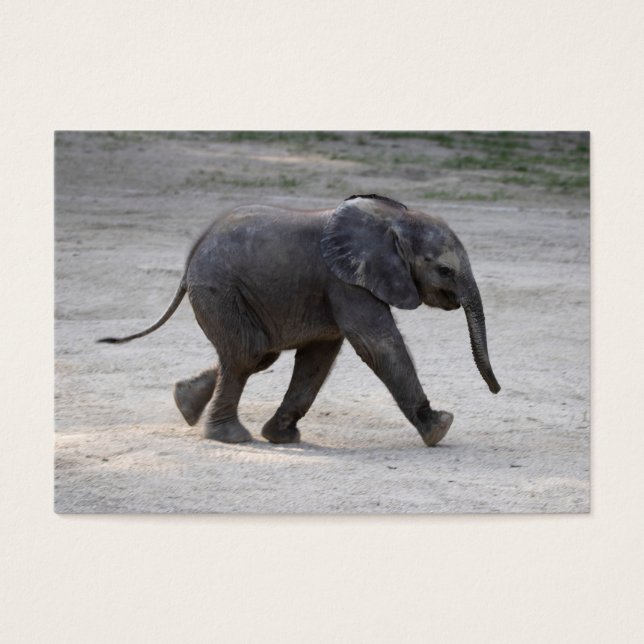 Sweet Baby Elephant Kibali Visitkort (Framsidan)