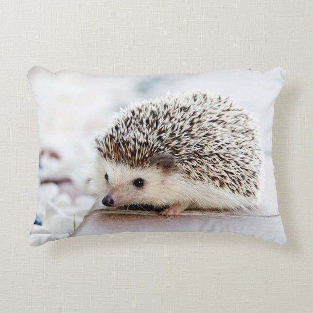 Sweet Baby Hedgehog Prydnadskudde (Framsidan)