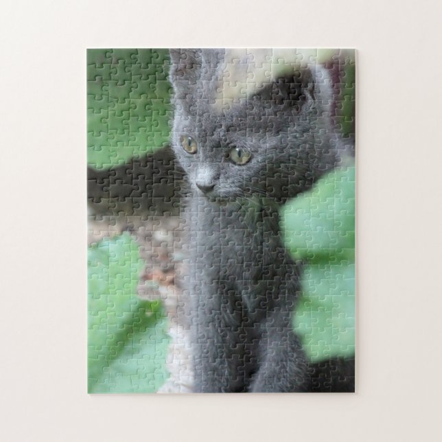 Sweet Baby Kitten Puzzle Pussel (Vertikal)
