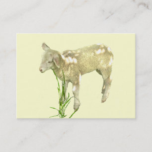 Sweet Baby Lamb på Gult ATC-kort Visitkort