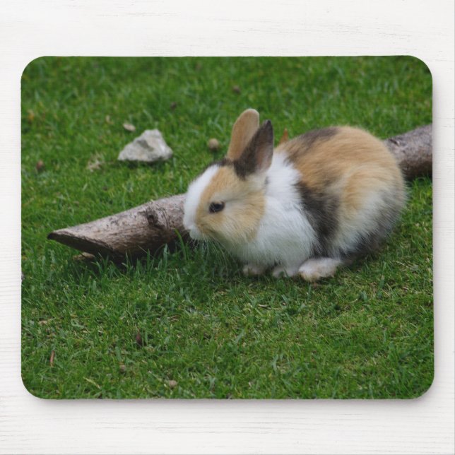 Sweet Baby Rabbit Musmatta (Framsidan)
