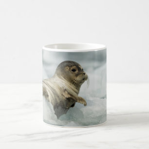 Sweet Baby Seal Kaffemugg